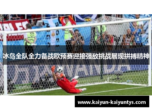 冰岛全队全力备战欧预赛迎接强敌挑战展现拼搏精神