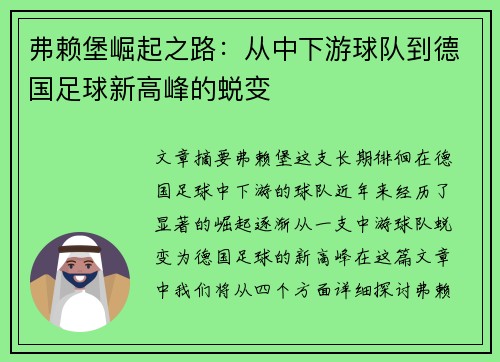 弗赖堡崛起之路：从中下游球队到德国足球新高峰的蜕变