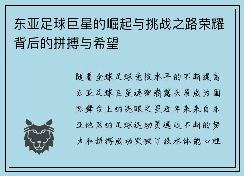 东亚足球巨星的崛起与挑战之路荣耀背后的拼搏与希望