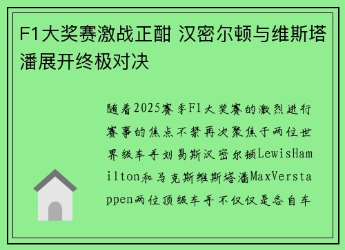 F1大奖赛激战正酣 汉密尔顿与维斯塔潘展开终极对决