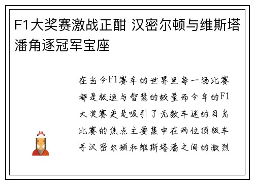 F1大奖赛激战正酣 汉密尔顿与维斯塔潘角逐冠军宝座